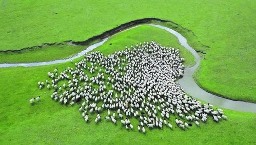 新疆 以環保為基，升級設施與服務，打造高品質旅游新名片